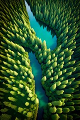 an illustration of a birds-eye view of a Canadian forest, trees and lake