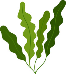 seaweed clipart