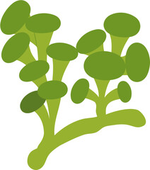 seaweed clipart