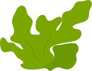 seaweed clipart © vikakura