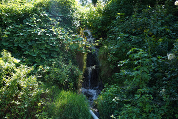 道珍の滝　長野県下高井郡