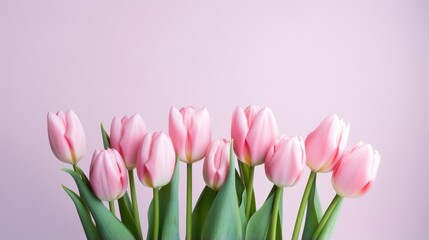 Minimalistic Arrangement of Pink Tulips AI Generated