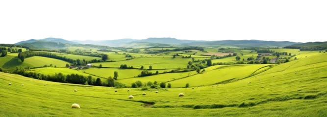 Gartenposter Tranquil countryside landscape with rolling hills and farm fields, cut out © Yeti Studio