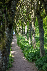 In den schottischen Highlands