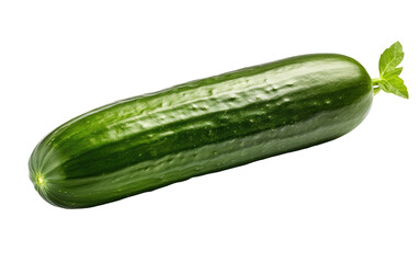 Green Fresh Cucumber Isolated on Transparent Background PNG.