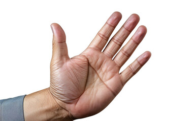 Beautiful Male Asian Hand Gesture Isolated on Transparent Background PNG.