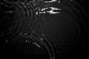 The black crown of water droplets splashing.