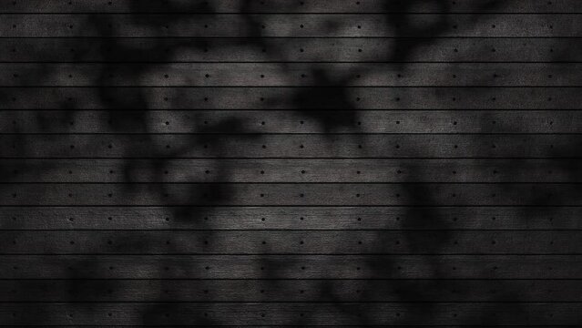 Looping animation of a falling shadow from tree branches on a black wall. Abstract dark shadow background of natural leaves tree branch falling on old wall. 4K UHD 3840x2160 3D profession render very 