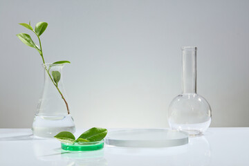 Empty glass stand for displaying cosmetics, natural organic botany and scientific glass, simple white background. Concept laboratory tests and research natural extract making cosmetic.