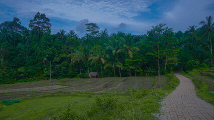 road in the mountains