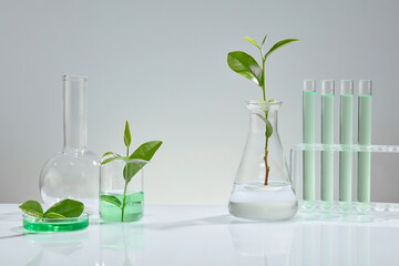 Green tea leaves arranged in a petri dish and laboratory equipment on a white background, some test tubes containing light green solutions. Space in the middle for design.