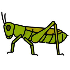 cricket line icon