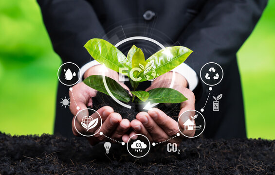Businessman nurturing plant with eco design icon symbolize commitment to environmental business, growing plant to reduce carbon emission through natural preservation for sustainable future. Reliance