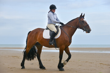 Young female horse rider and her large bay horse enjoy a ride on the beach in Wales UK.The horse...