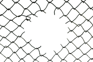 The texture of the metal mesh. Torn, destroyed, broken metal mesh on a white background