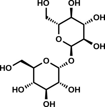 Trehalose structural formula, vector illustration