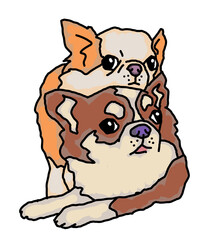 Funny lovely home animals happy playing together. For pet shop or kids room, logo design, party invitation, postcard for friend. Hand drawn illustration. Cartoon style character drawing.