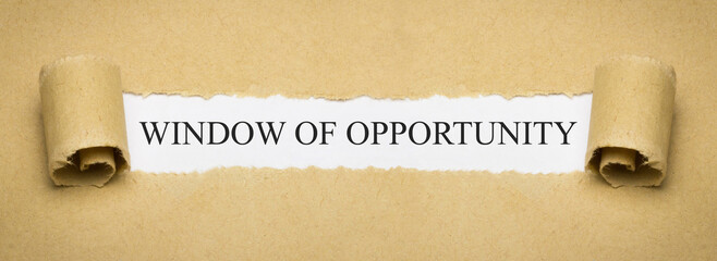 Window of opportunity