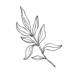 Leaves line art, simple hand drawn vector illustration , isolate on white background