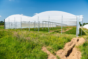 Obraz premium Nouvelles serres dans une ferme de maraichage Bio. Agriculture Bio
