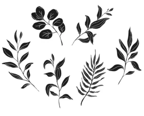 Zelfklevend Fotobehang Aquarel natuur set Palm and eucalyptus leaves silhouette, hand drawn vector illustration set, isolate on white background
