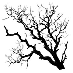 silhouette of a died tree