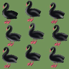 set of black and white birds