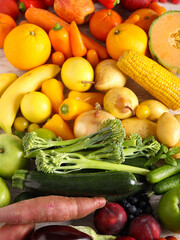 Rainbow fruit and vegetables