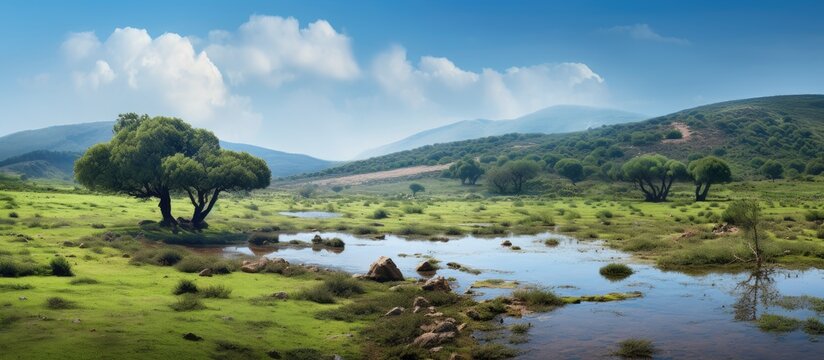Spanish marshland in Casares de Arbas