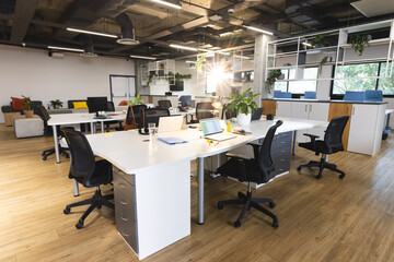 Empty creative office with plants in pots, computer and laptops with data on screen