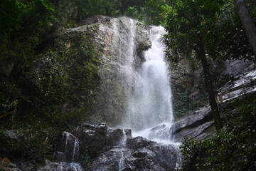 Obraz premium Beautiful scenery of the waterfall in the rainforest in Thailand. Adventure and travel concept