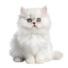 Cute white persian cat, sitting kitten isolated on transparent background Generative AI