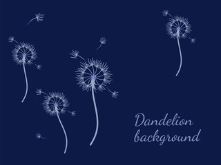 Abstract background dandelion design for decoration design.