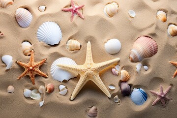 Fototapeta na wymiar Sea Sand Beach: Closeup of Shells, Pebbles, and Serene Beauty