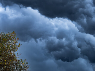 nuage d'orage sombre et noir avec des volutes rondes et végétation