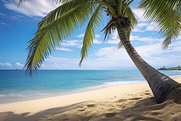 Scenic View: Palm Tree on the Beach - Captivating Image of a Tropical Seascape