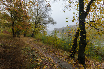 Fototapeta premium autumn in the park