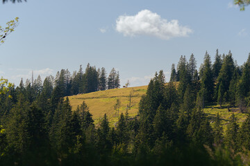 autumn in the mountains