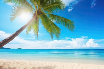 Vacation Travel Holiday Beach Banner Image: Palm Tree on Tropical Beach with Blue Sky