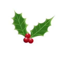 Green Christmas mistletoe with red berries isolated on white background 