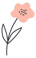 Cute pink flower with black line stem and leaves