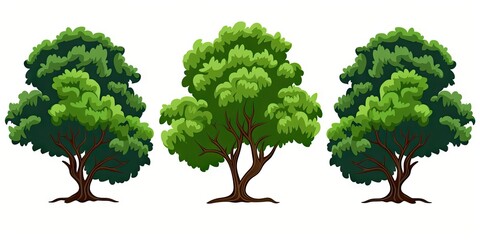 Fototapeta premium Nature symphony in green. Illustrative delights of tree on white background isolated. Forests and woodlands. Verdant collection for eco design showcase