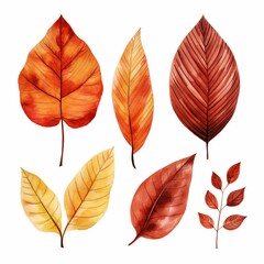 Collection of autumn leaves, watercolor illustration, set