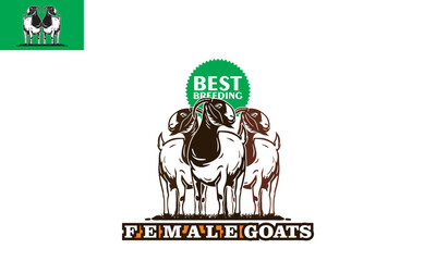 BEST FEMALE BOER GOATS STANDING LOGO, silhouette of big and healthy ram standing vector illustrations.