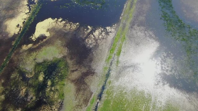 The flooded marshy area, with its wide expanse of water, and the sunlight reflected, is a magical sight. Aerial view