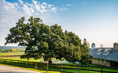 Naklejka premium Old Stone Barn Near Rochester, Minnesota