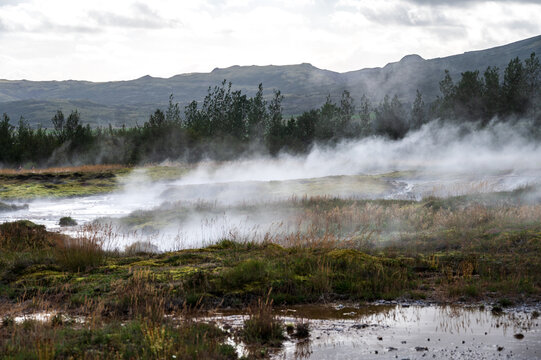 Smoke of hot springs in Iceland