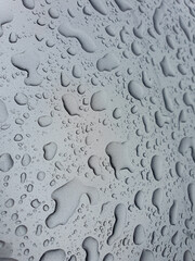 Drops of water on a color background. Gray