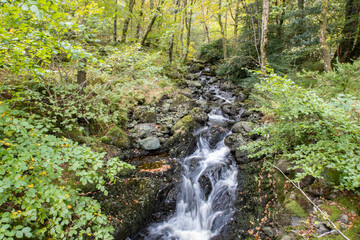 Fast flowing waterfall in woodlands in autumn