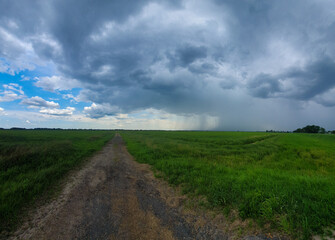A beautiful thundercloud with rain hovered over a field of wheat. A terrible black cloud on the eve...